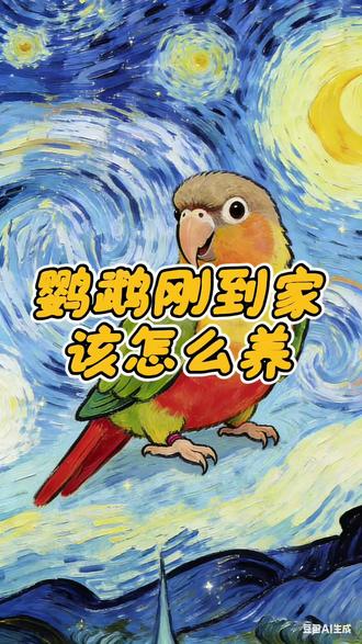 鹦鹉刚到家,不要互动,一定要静养