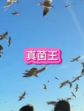 #止痒膏 #真菌王 #抑菌乳膏