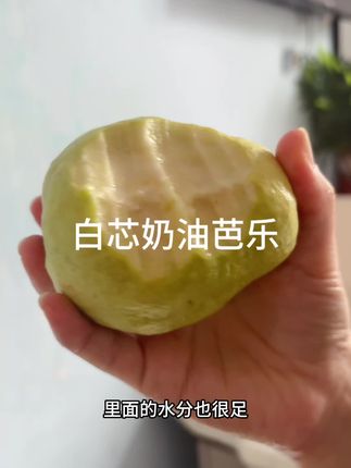白芯奶油芭乐,软绵绵的口感很好吃😋#新鲜采摘 #奶油芭乐#芭乐
