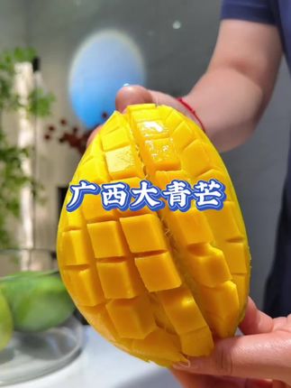 #芒果 #新鲜采摘 #青芒 #青芒果 #口感特别好