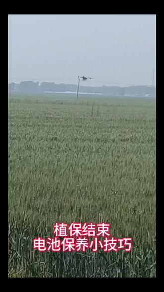 电池放时间长了容易鼓包,压差过大,四灯闪,来看看小技巧吧#无人机打药 #大疆植保无人机 #智慧农业 #新农人计划2023 #三农