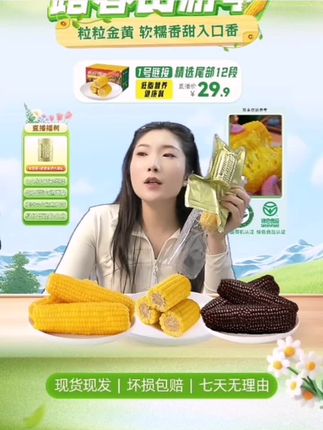 灶小美内蒙古糯玉米黄金八厘米玉米段黄糯12支装代餐粘苞米 #玉米 #玉米段 #糯玉米