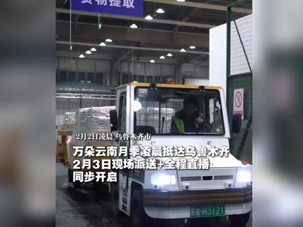 万朵云南“娇龙”月季凌晨抵达乌鲁木齐!#贺娇龙#娇龙月季