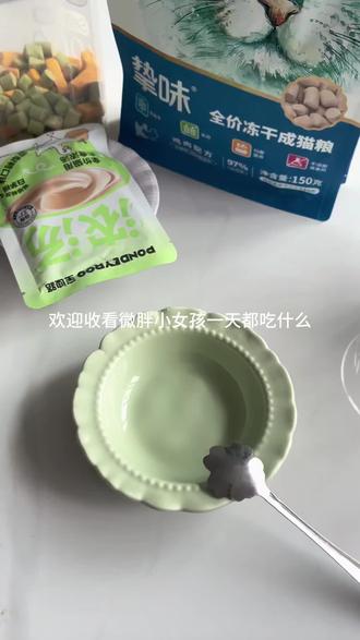微胖小女孩一天吃什么#猫咪配餐 #猫主子的喂养日常 ##猫咪的日常饮食