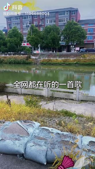 全网都在听的一首歌,这个旋律也太好听了,上班路上随拍