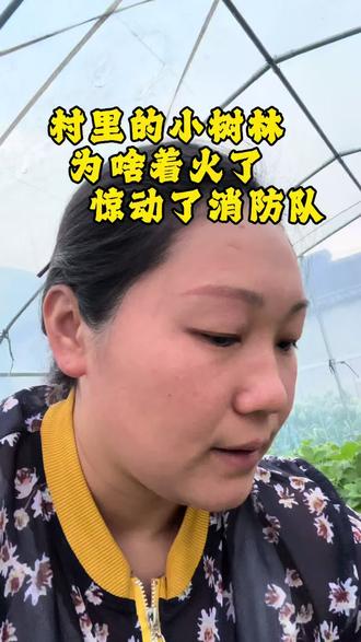 远嫁女人村里事分享,五一休假回村里本来挺高兴的,村里今天小树林着火了,家里的树没救过来,看看为啥着火了,#真实生活分享计划 #远嫁 #原创 #村里那些事 #五一