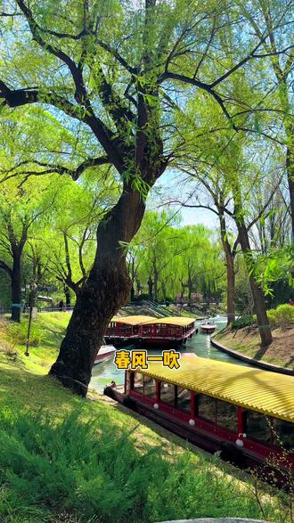 #皇家御河游船 #颐和园 #紫御湾码头
从紫竹院开往颐和园的皇家御河游船一路好风光,抖音买比在现场买便宜很多,刷到的先囤上。