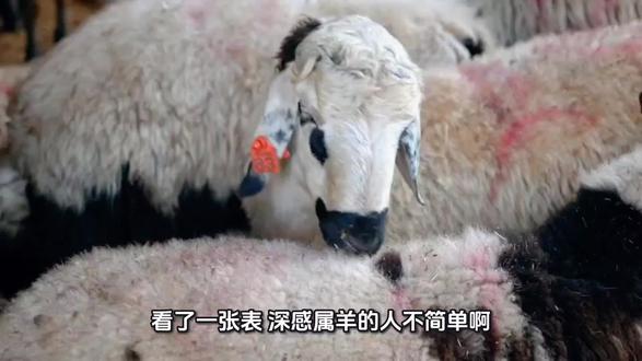 羊,温婉善良,心思缜密,从不伤害别人。
#善良的羊 #温婉的羊 #默默耕耘的羊。