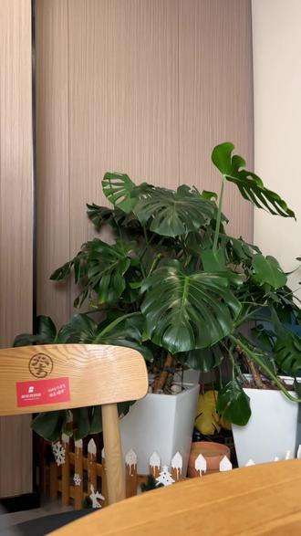 #小学 #寒假 跟着#课堂笔记 搞#预习 重难点直接标在课文上!就是比其他人学得更扎实#教辅