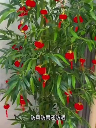 新年植绒迷你小灯笼挂饰户外装饰乔迁布置结婚庆室内盆景挂件树上#植绒迷你小灯笼 #迷你小灯笼 #盆景灯笼 #乔迁布置用品 #新年灯笼