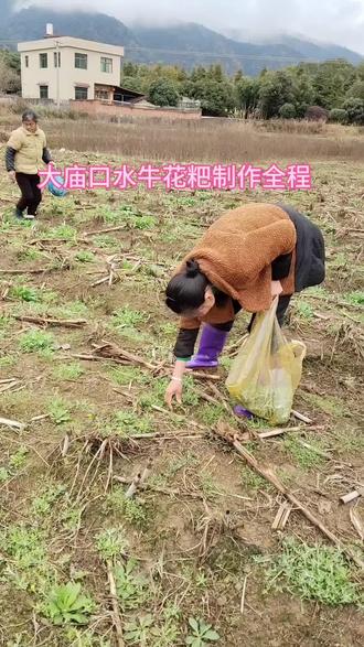 #地方特色美食 #农村酒席习俗 #农村酒席美食 #乡村美食 #团建 @抖音小助手