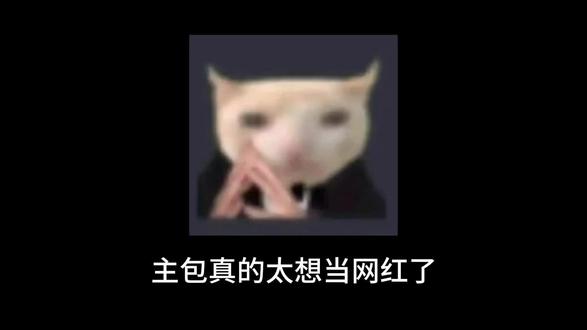 没人能逃过这个第三视角,给我笑的啥都招了#杜宾犬 #不养狗不知道养狗的乐趣 #火苗dj #看到最后 #动物的迷惑行为