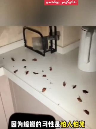 #好物推荐🔥 #好物推荐分享给大家