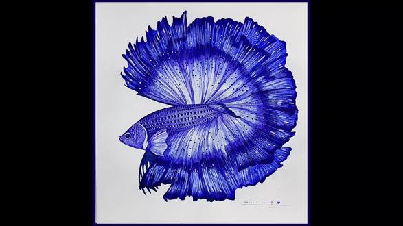 【万物绘】泰国斗鱼 圆珠笔画
一起来画一只美丽的泰国斗鱼吧 🐟!
#画画#圆珠笔画#手绘#斗鱼#原创插画