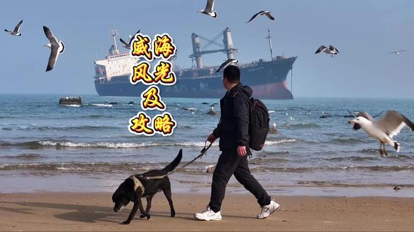 超美的威海旅游经典路线全线风光展示及详细路线攻略,淡季的威海有多香#威海旅游攻略 #海边自驾