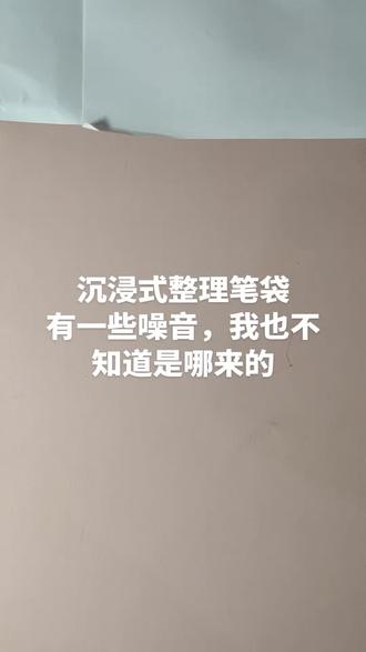 沉浸式整理笔袋#百乐#得力#晨光#爱好