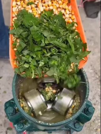 家用饲料颗粒机,220v/380v纯铜线电机 ,可用于鸡鸭鹅猪马牛羊养殖#助力三农 #鸡鸭鹅养殖 #饲料颗粒机 #农村养殖