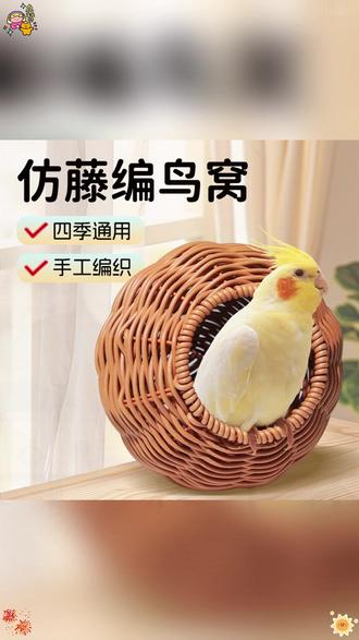 天气变暖,棉窝得换成这种藤编的鸟窝了! #鹦鹉鸟窝 #仿藤编鸟窝