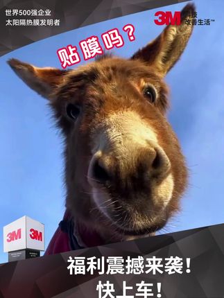 福利震撼来袭!快上车!#3M #3M汽车膜 #3M太阳膜 #汽车防爆隔热膜 #集合啦车玩家