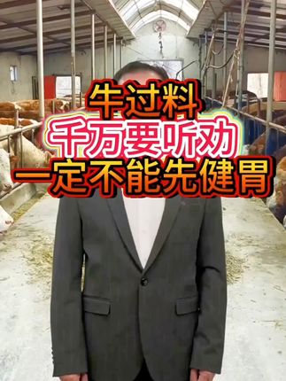 #养牛 #养牛人 #肉牛养殖 #农村养牛 #农村养牛人记录农村生活