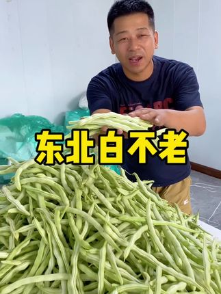 白不老豆角每天新鲜摘新鲜发 嘎嘎香#太好吃了 #家乡好货 #白不老