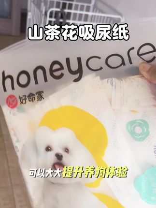 真后悔以前不知道有这种吸尿纸,天天拿纸巾擦的人生气,这个简直是吸尿神器,还有山茶花香,推荐#科学养宠 #萌宠好物 #吸尿纸 #honeycare好命家