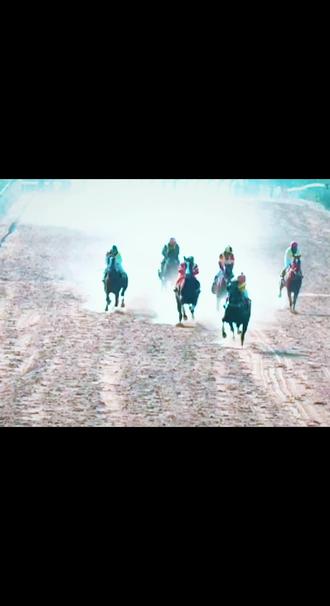 2026正月初四的赛马比赛#赛马 #三都赛马