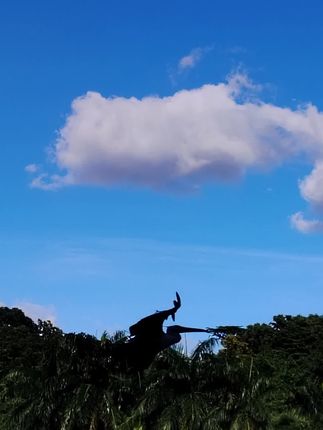 与娘家人的恩怨是非,大家评评理,希望让更多人看到这些以前你们不知道的事实#李喜梅大双哥夫妇 #李喜梅妈妈 #李喜梅太不容易了 #上热门上热门 #浪莎洗衣凝珠
