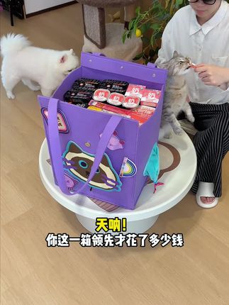 领先23块9的猫咪大礼包实在太哇塞了!有餐盒汤包和墨鱼罐 #吃货猫 #萌宠好物 #领先猫粮 #养猫新手
