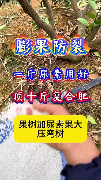 果树膨大增甜,防落防裂 #果树施肥 #果树种植 #果树膨大宝 #因艾氏果树膨大宝 #樱桃种植 #桃树种植 #柑橘种植 #苹果种植 #猕猴桃种植