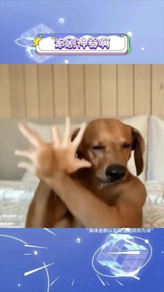 以后看短剧再也不用开会员了#红果短剧 #你的短剧搭子#万万没想到 #追剧神器 #萌宠