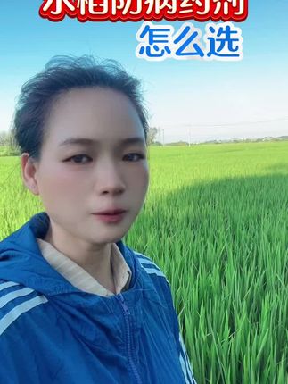 水稻防病药剂怎么选看完你就知道了 #水稻种植#纹枯病#稻曲病#稻瘟病#肟菌戊唑醇