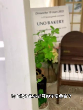 【乐乐鱼】电子琴儿童乐器初学早教宝宝幼儿女孩小钢琴玩具可弹奏#简笔画画 #钢琴弹奏 #0基础学钢琴 #儿童钢琴 #成人钢琴
