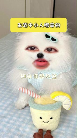 生活中小人哪来的 #星盘 #星盘分析 #星座 #情感 #占星