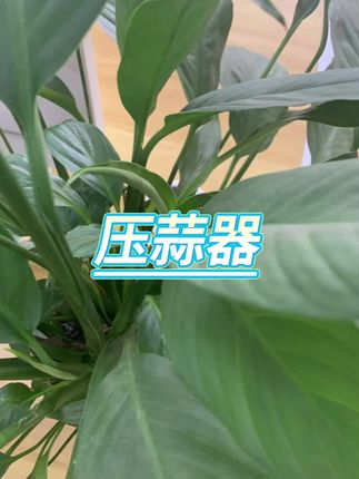 #压蒜器 #压蒜神器 #捻蒜器