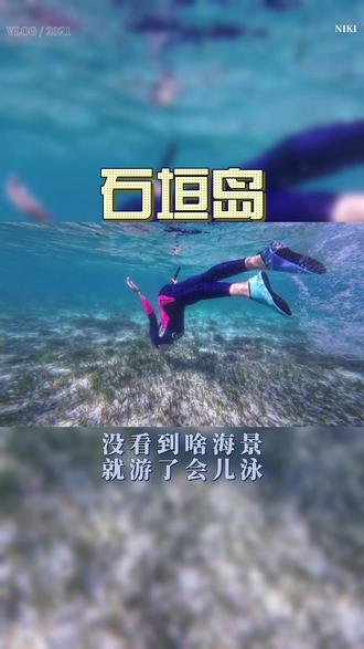 石垣岛day③:石垣岛→竹富岛:游泳+环岛walk 在石垣岛码头,上船出发竹富岛!!
对对对,是我们不舍得花钱也不会玩,所以没看到很好看的海景。
石垣岛这边确实需要跟潜店出去找合适的潜点玩(浮潜也是)。
我们去的这个竹富岛的海边,海流很强(平行岸边的流),人根本对抗不了
我们就在海里面随波逐流:这里漂到下面;沿途看看路过的海景(也有些小鱼、海草珊瑚啥的,但是很少、而且一闪而过);然后上岸走回起点;再漂一边。大概这样玩了几趟,就走去环岛了。
环岛步行真的很晒、很热,但是为了赶上回去的船,拼命按时返回竹富岛的码头,并且上船回到石垣岛了。哈哈
#深圳赵梦泰 #石垣岛 #海岛游 #浮潜