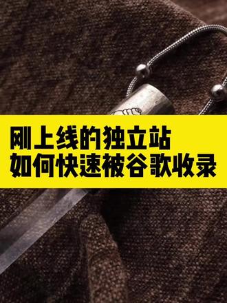 刚上线的独立站如何快速被谷歌收录? #独立站 #独立站运营 #外贸独立站 #谷歌seo #seo优化