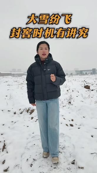 封窖要看具体情况,比如姜窖大小,存姜多少,井口粗细,姜窖深浅等等#姜窖#大姜储存#大姜种植#阳帆农业