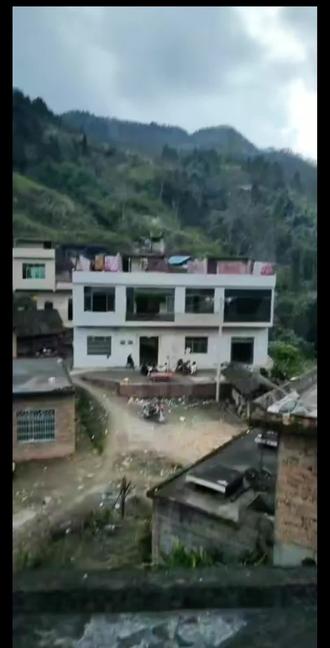 她在思念什么 每日每夜
#茶花开了该回家了