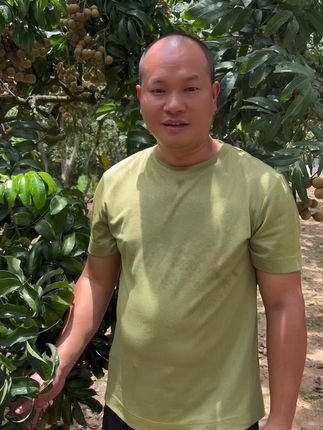 不正宗不要钱 #优质农产品 #龙眼