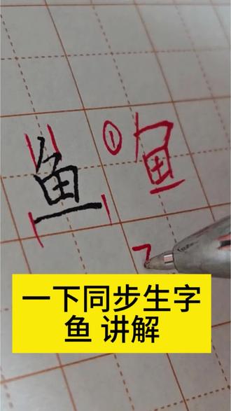 一年级下册同步生字“鱼” #鱼字写法 #硬笔书法 #小学生练字 #同步生字教学 #零基础硬笔书法教学