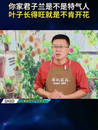 你家君子兰是不是特别气人?光长叶子不开花,觉得是它故意跟你作对?#花卉绿植 #爱生活爱养花 #养花 #养花小知识 #花卉