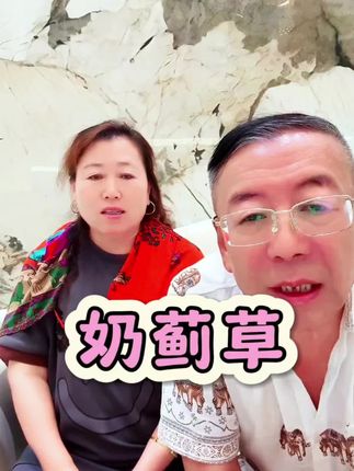 新西兰进口奶蓟草,含量高,试试#健康 #正能量 #奶蓟草#老把头和老解#上热门