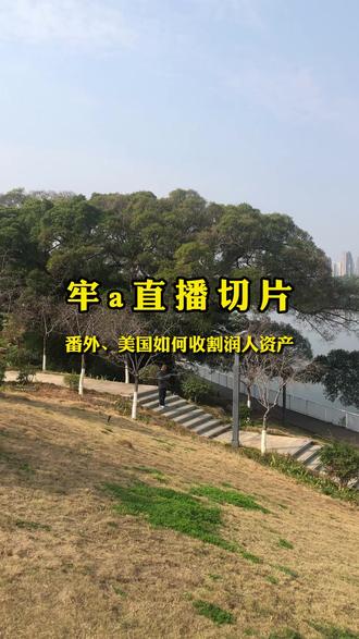 牢a直播切片,番外、美国如何收割润人资产#牢a #斯奎奇大王