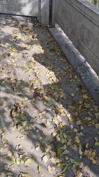 【道普视频】道家对手诀的认识