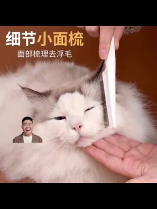 #郝劭文 #郝劭文推荐 宠物猫咪狗狗嘴毛梳密齿小排梳面梳整理眼部清理脸部针梳跳蚤梳子#宠物猫咪梳#小排梳#梳子
