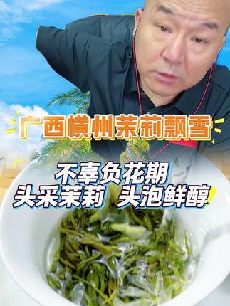 #茉莉花茶 #茉莉飘雪 #国哥说热点 #国哥分享