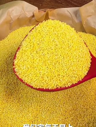 敖汉旗农家小米熬粥油小米油厚软糯内蒙古原产地现发