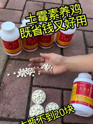 #养殖#鸡鸭鹅养殖#三农#养鸡小妙招#科学养殖
