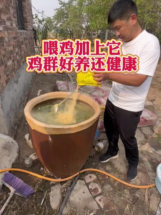 喂鸡加上它,鸡群健康好养 #鸡鸭鹅养殖#养鸡小妙招#三农#养鸡人#养鸡